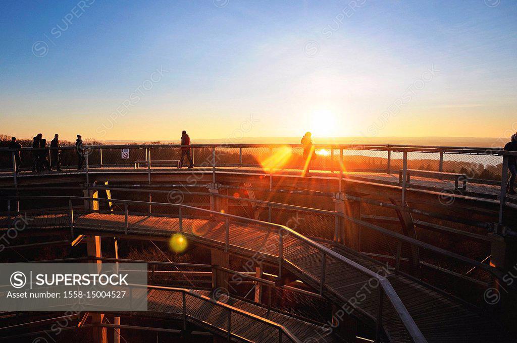 Observation Tower Adlerhorst Is The Highlight Of The Canopy Pathway