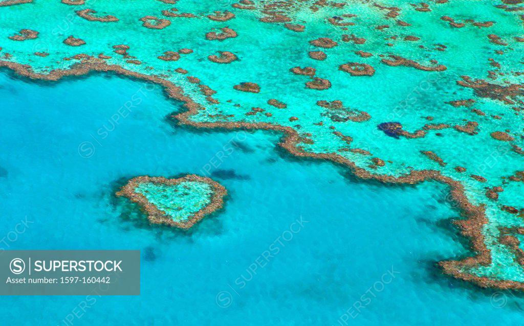 Heart Reef Hardy Reef Great Barrier Reef Nature Helicopter