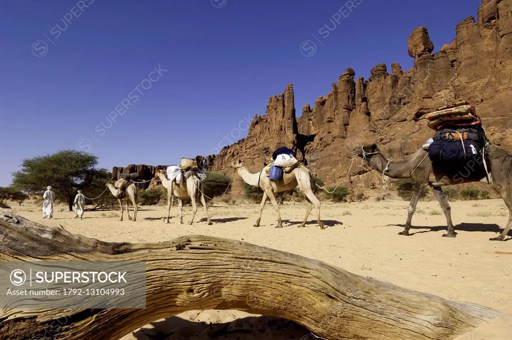 Chad Southern Sahara Desert Ennedi Massif Archei Caravan Of Toubou