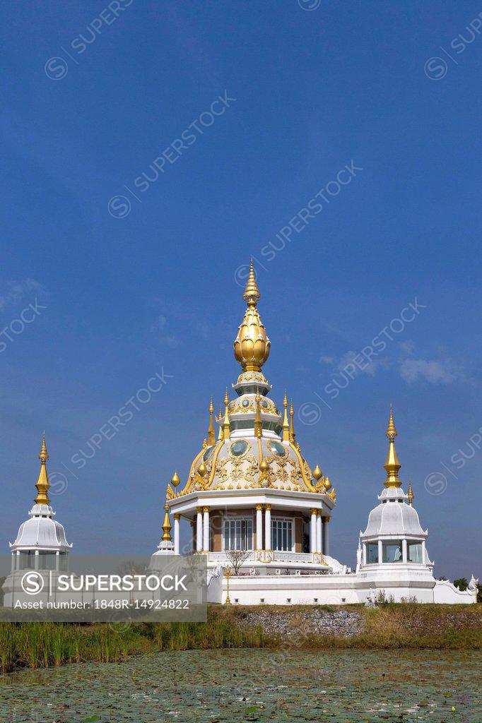 Pond With Lotus Nelumbo In Front Of Maha Rattana Chedi Of Wat Thung