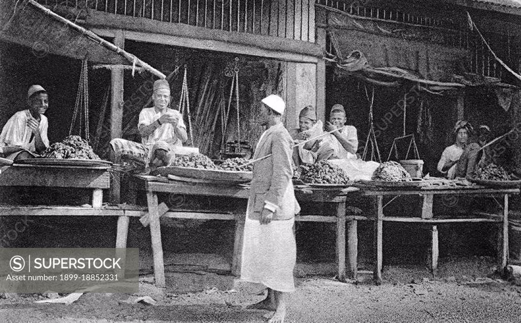 Zanzibar From Arabic Zanjibar From Persian Zangibar Coast Of Blacks