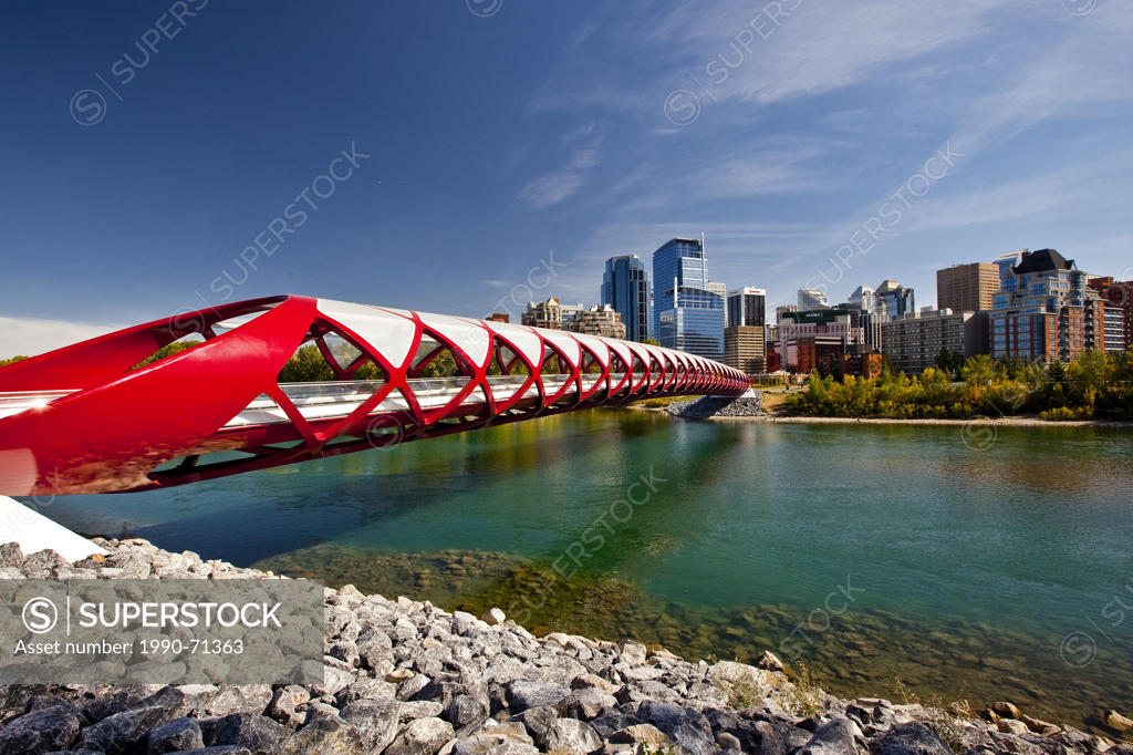 Calgary Peace Bridge And Downtown Highrise Buildings Peace Bridge Is