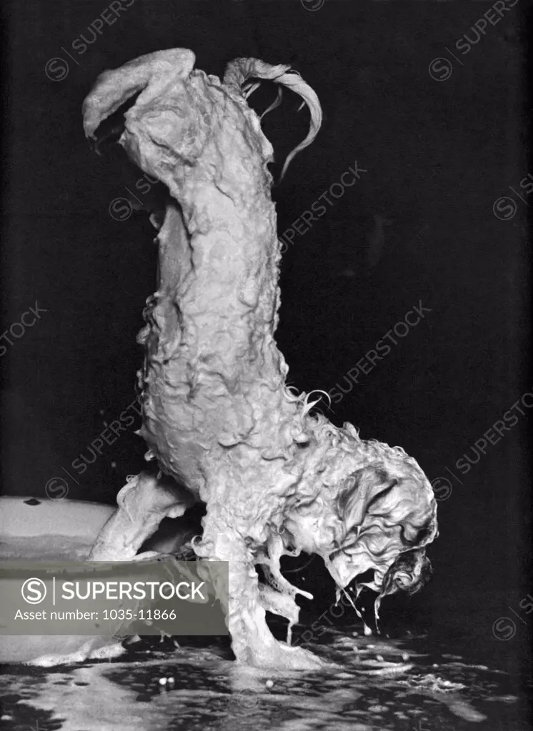 United States:  c. 1960. A lathered up dog makes a soapy escape from its bath.