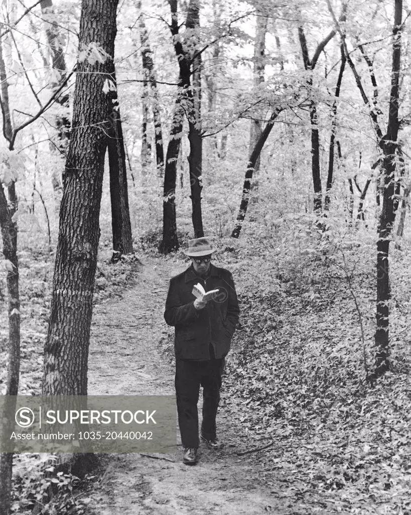 United States:  c. 1968 A man reading a book while strolling down a path in the woods.