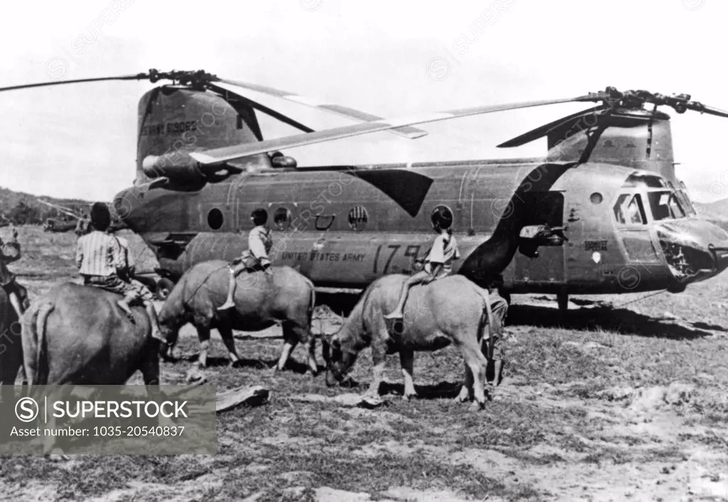 Nha Trang, Vietnam:  February 20, 1968 A U.S. Army CH-47 Chinook helicopter in a field meets up with several Vietnamese boys riding their water buffalos to nearby rice paddies.