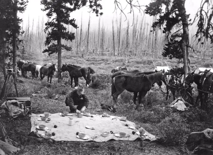 Banff, Alberta, Canada:  c. 1924. A cowboy sets the table for breakfast at a tourist pack camp.