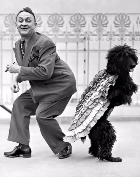 Hollywood, California: 1944. A Samba stepping black poodle by the name of 'Countess' is entertaining folks at the Music Box Theatre on Hollywood Blvd.