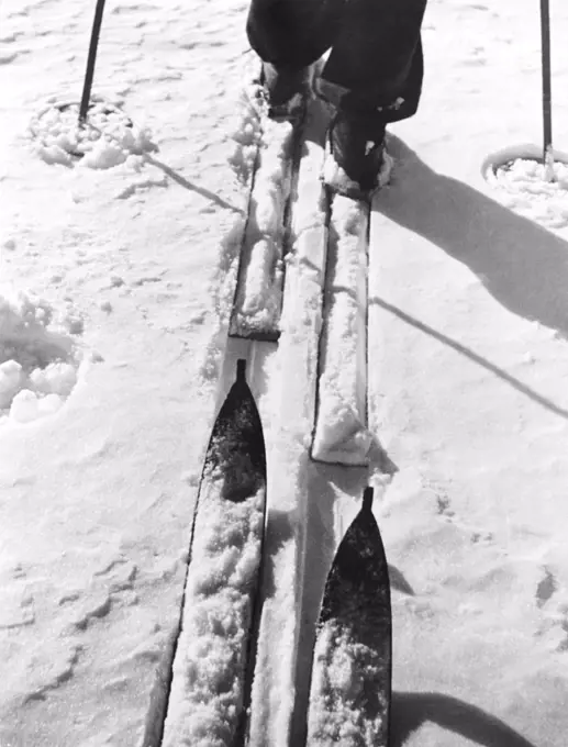 United Staes:  c. 1930 A close up of the skis of two cross country skiers following in the same track.
