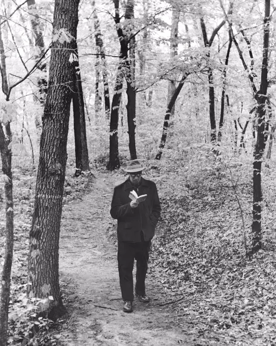 United States:  c. 1968 A man reading a book while strolling down a path in the woods.
