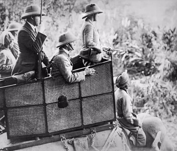 Nepal:    January 29, 1922 The Prince of Wales watches from his howdah atop an elephant for any big game to break cover while on his hunting expedition in the jungles of Nepal. His gun loaders are in the howdah with him.