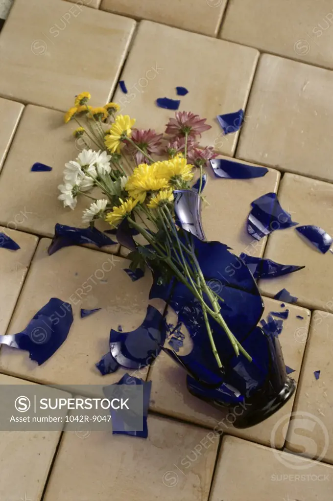 Close-up of a broken flower vase