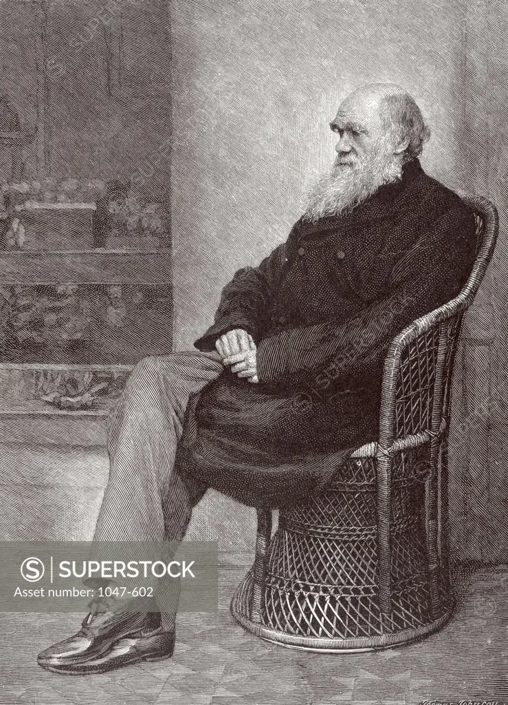 Charles Darwin (1809-1882)  English Naturalist  Engraving 