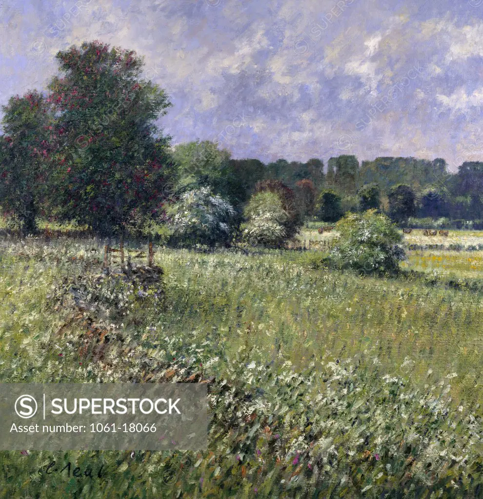 UK,  Gloucestershire,  Meadows at Bagendon by Charles Neal,  oil on canvas,  (b.1951)