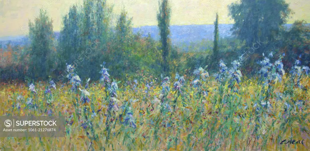 French countryside landscape impressionist scene with Irises.