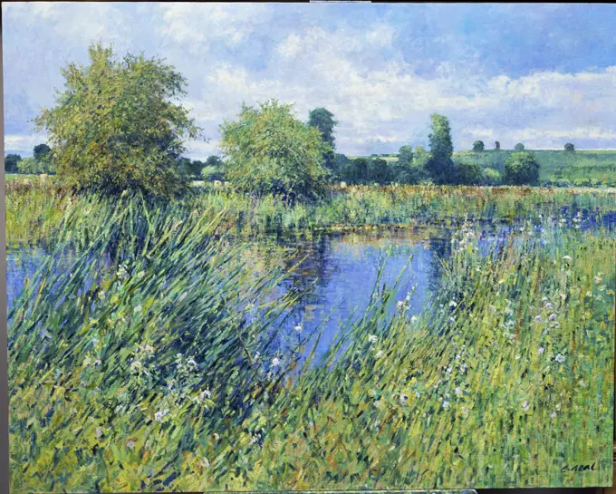 River Nene, near Widenhoe, Northamptonshire  1990 Charles Neal (b.1951/British) Oil on canvas  