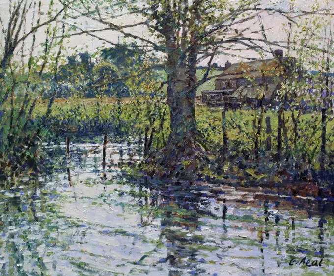 UK,  Gloucestershire,  Cirencester,  River Churn,  Bauton Meadows by Charles Neal,  oil on canvas,  (b.1951)