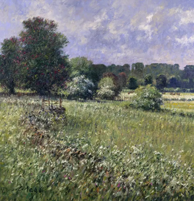 UK,  Gloucestershire,  Meadows at Bagendon by Charles Neal,  oil on canvas,  (b.1951)