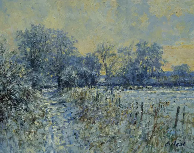 February Snow, Rapsgate Park, Gloucestershire, UK  1996  Charles Neal (b. 1951/British)  