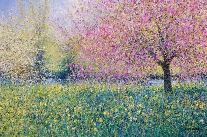 The Lower Lawn, Byfleet Manor-Spring Morning, April 2004 Charles Neal (b.1951/British) Oil on canvas