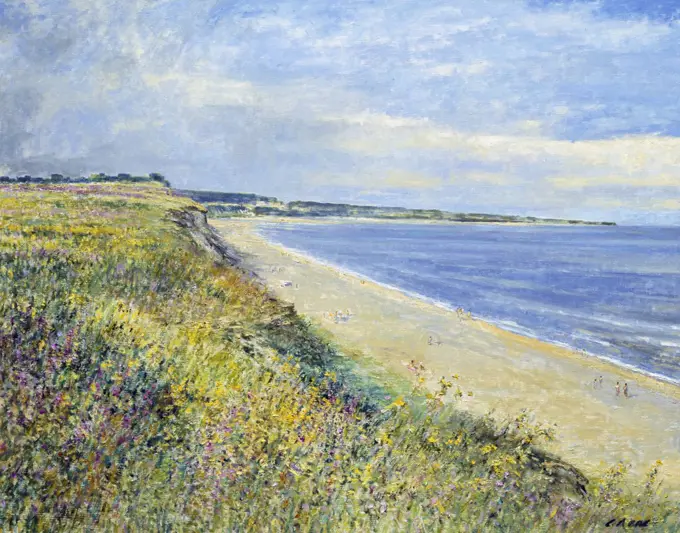 Dunwich Heath, View To Southwold, Suffolk. Afternoon, August. Charles Neal (b.1951 British) Oil On Canvas