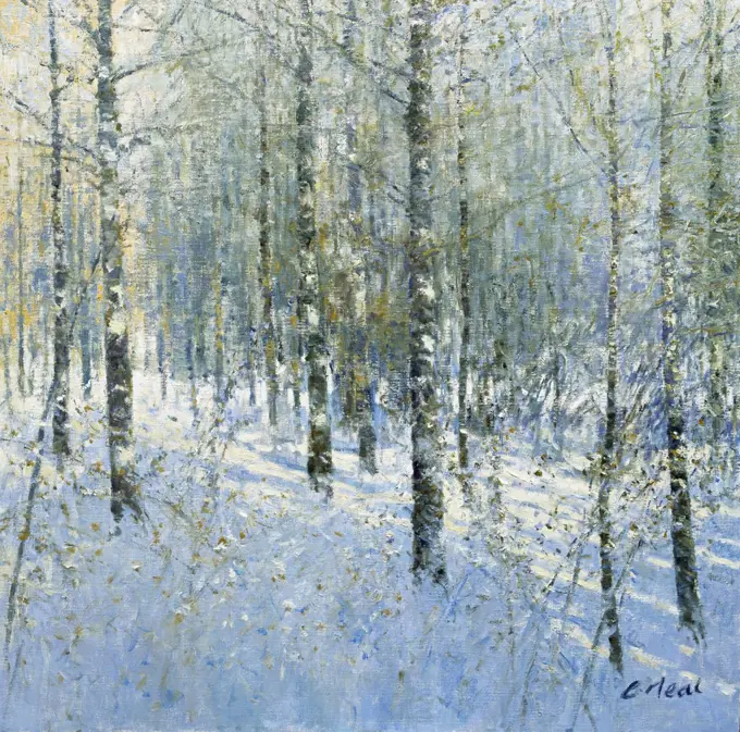 Woodland At Pecetto, Valle Anzasca, Italia. Morning, December. Charles Neal (b.1951 British) Oil On Canvas