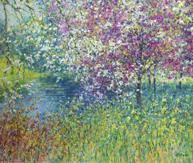 Spring garden scene with blossom and daffodlils