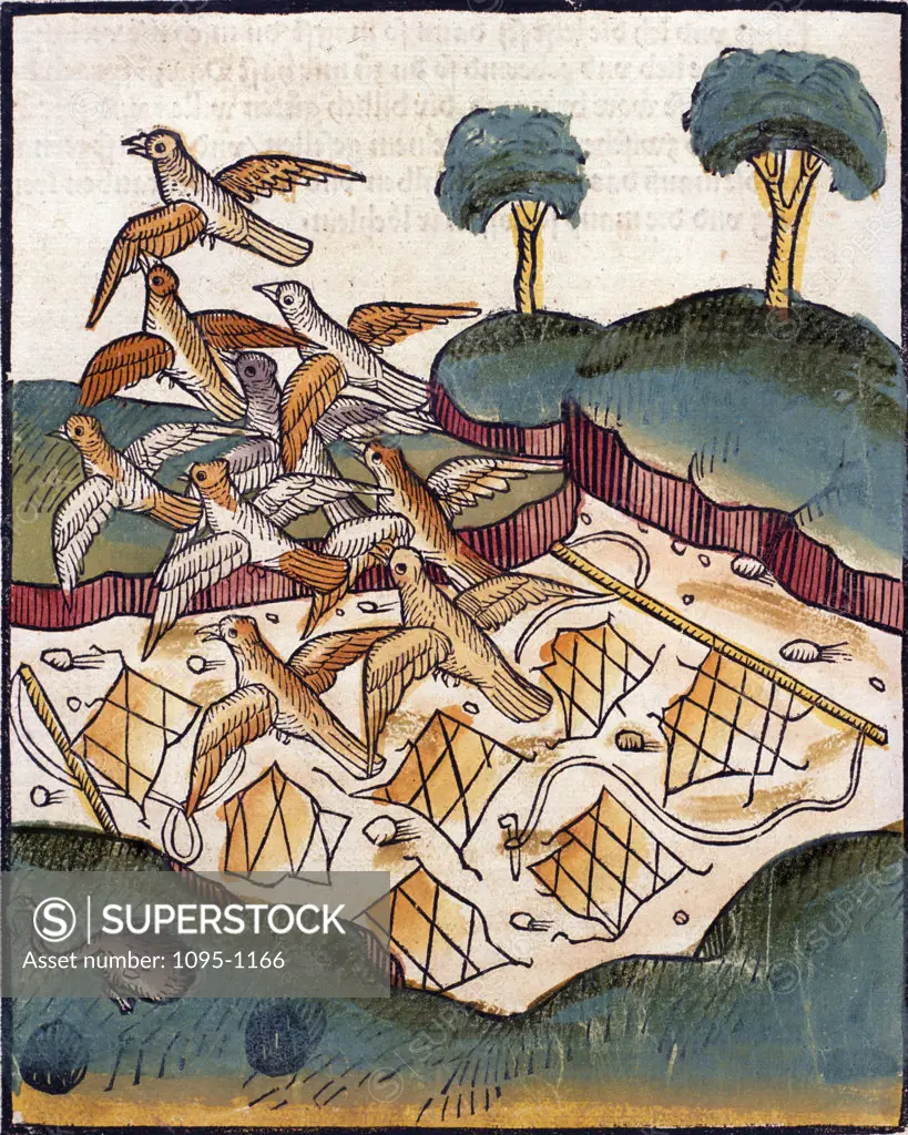 Birds escaping net,  from Buch der Weisheit der alten Weisen,  USA,  Illinois,  Chicago,  Newberry Library,  1483