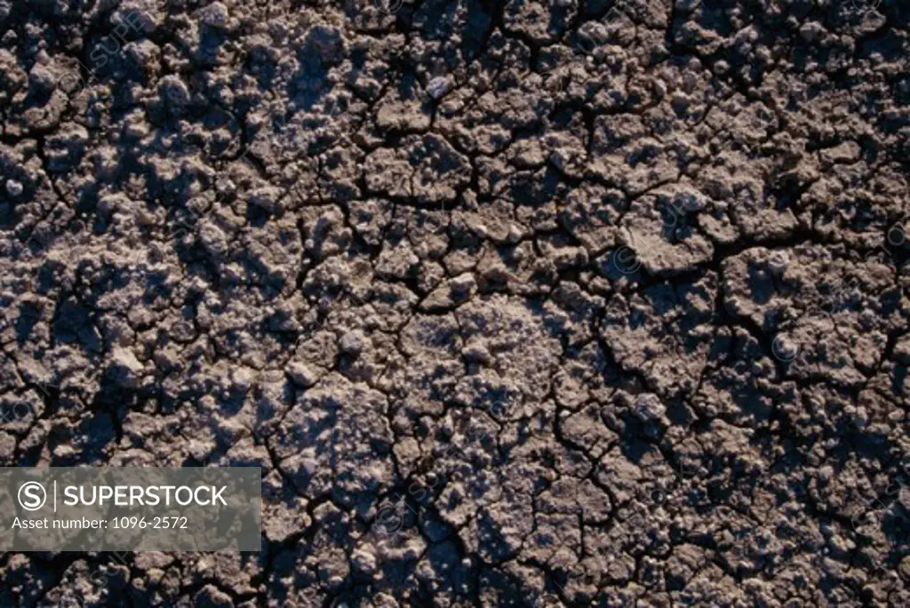 Close-up of dried dirt