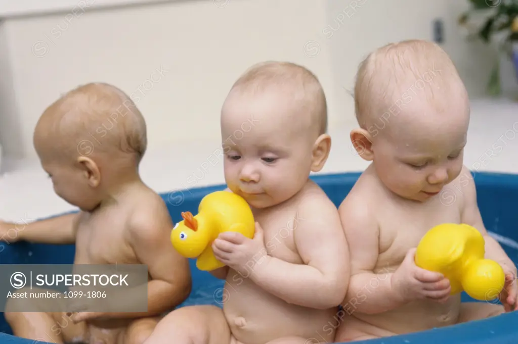 Three baby boys playing with rubber ducks