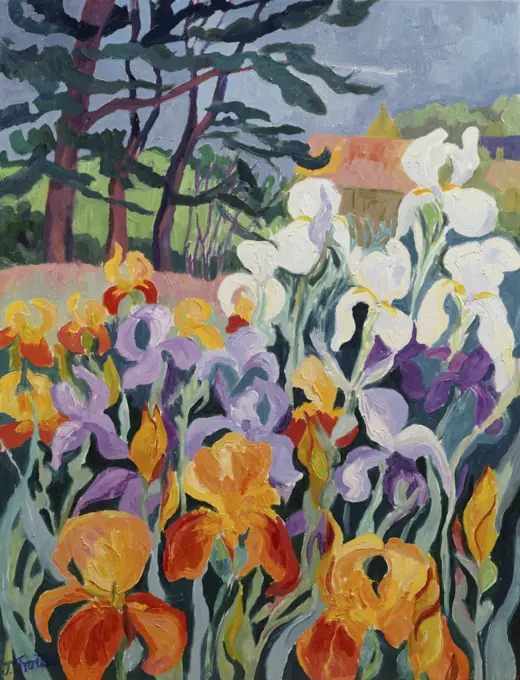 Iris 2003 Josephine Trotter (b.1940/British) Oil on Canvas