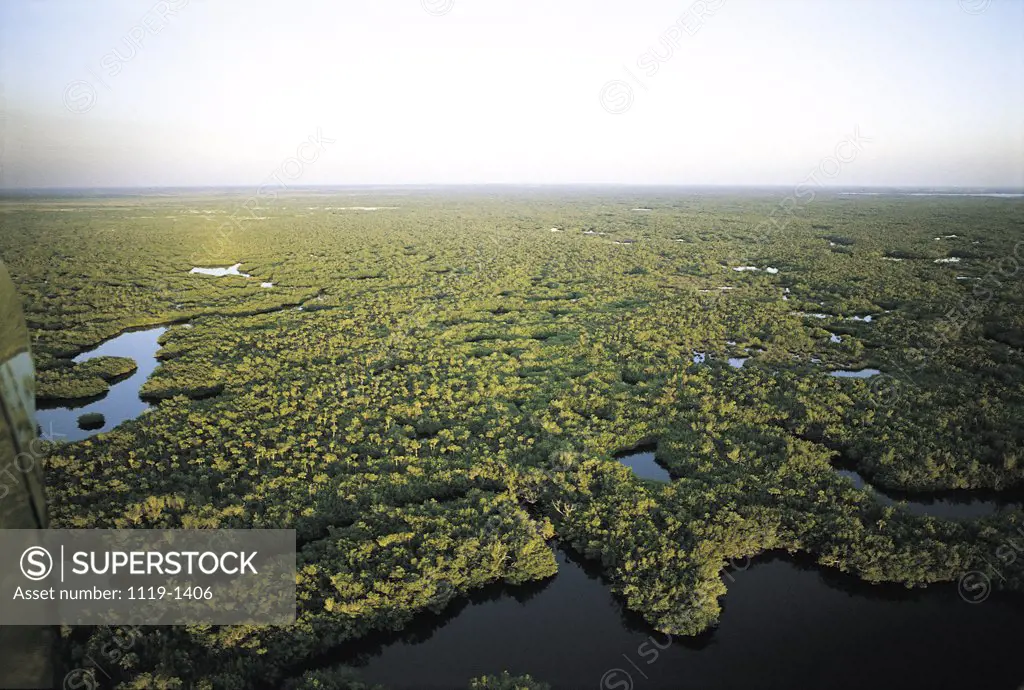 Everglades Florida USA