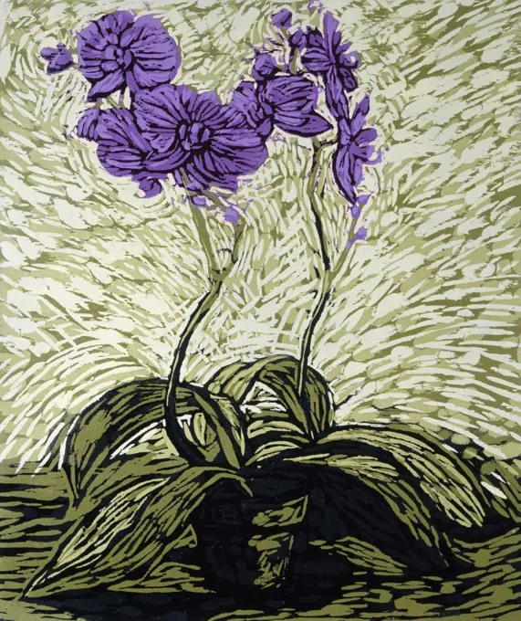 Orchids by Barry Wilson, woodcut print, (born 1961)