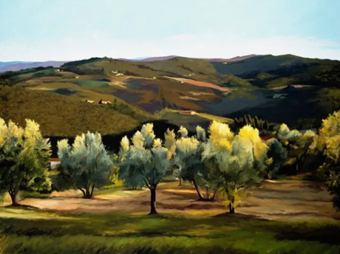 Olive Grove In Italy 2002 Helen J. Vaughn (20th C. American) Oil On Canvas Private Collection