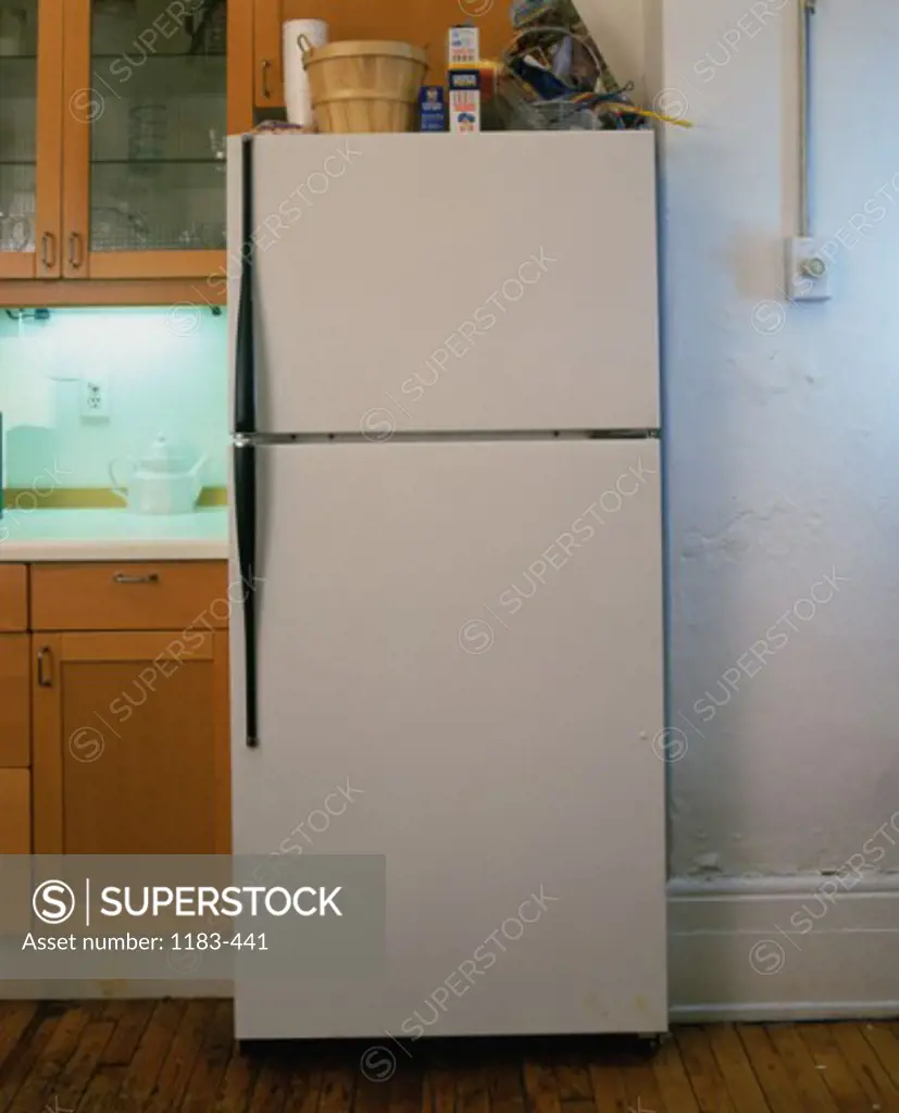 Refrigerator in a domestic kitchen