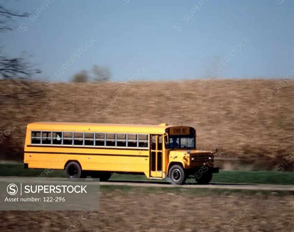 School bus on the road