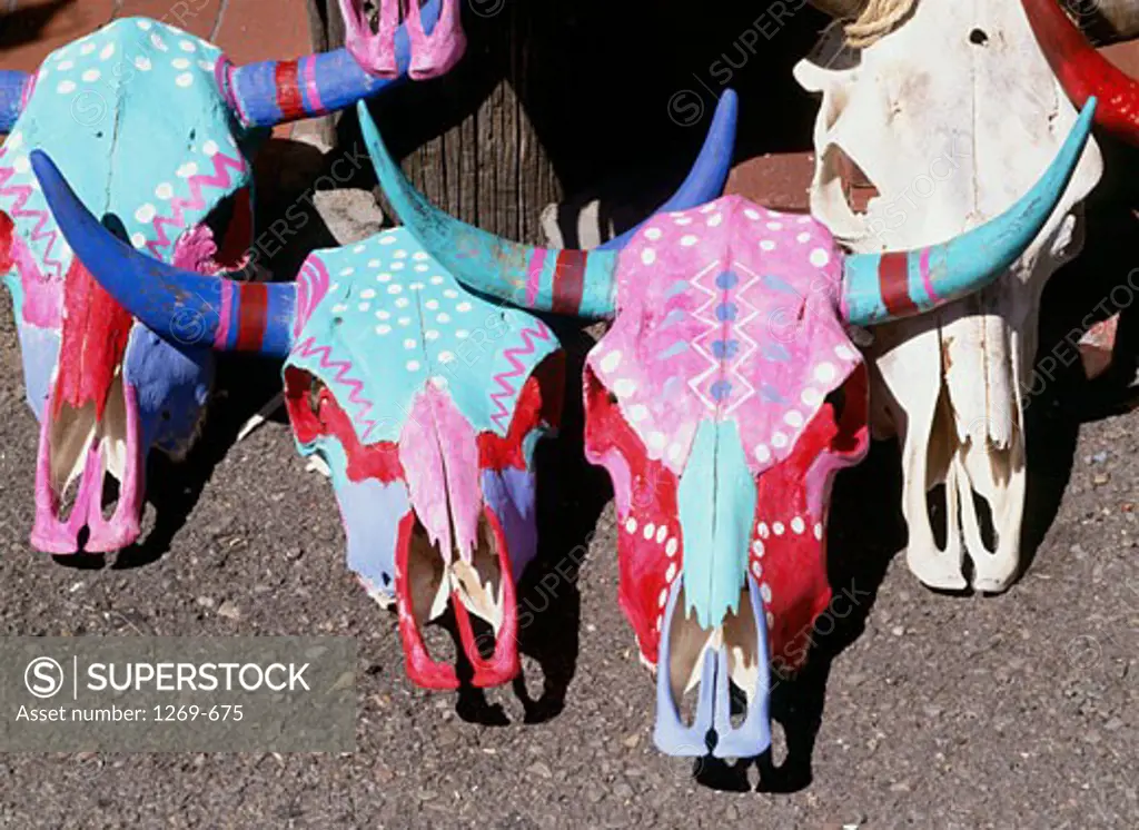 Close-up of painted animal skulls, Santa Fe, New Mexico, USA