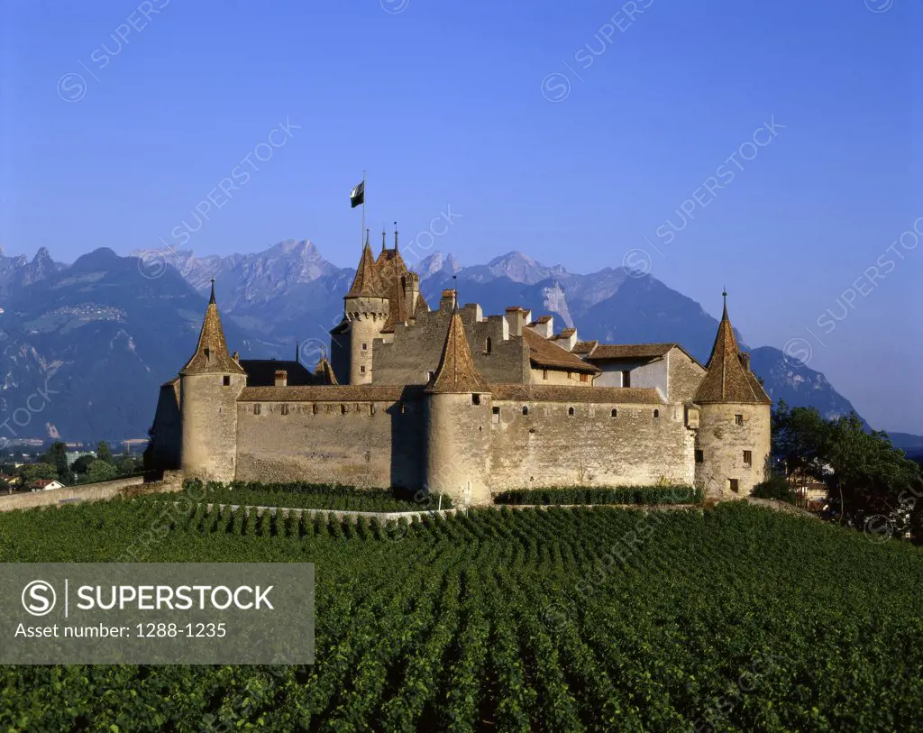 Building on a landscape, Chateau d'Aigle, Aigle, Vaud, Switzerland