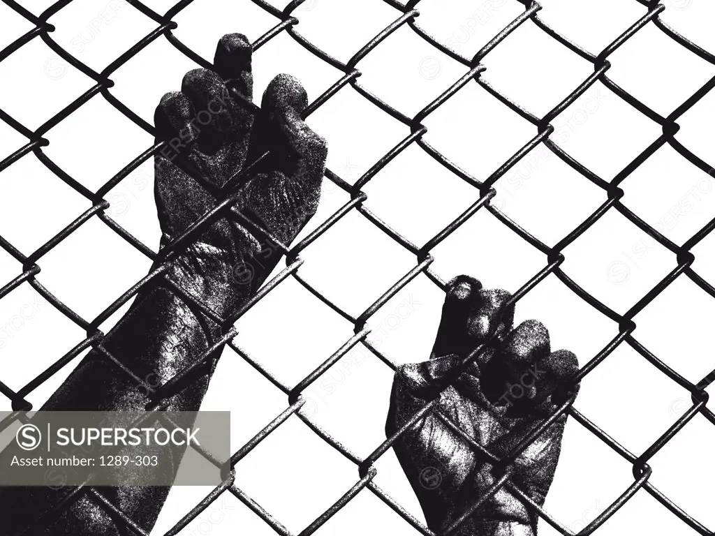 Close-up of human hands grasping a chain-link fence