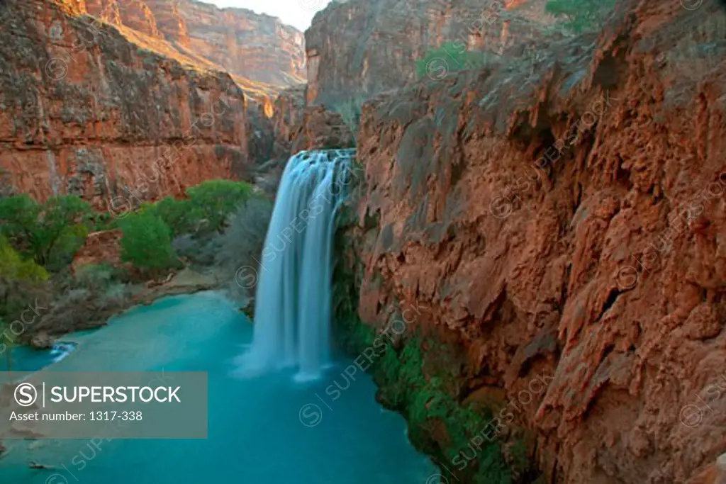 Waterfall in a forest, Havasu Falls, Havasupai Indian Reservation, Grand Canyon, Arizona, USA