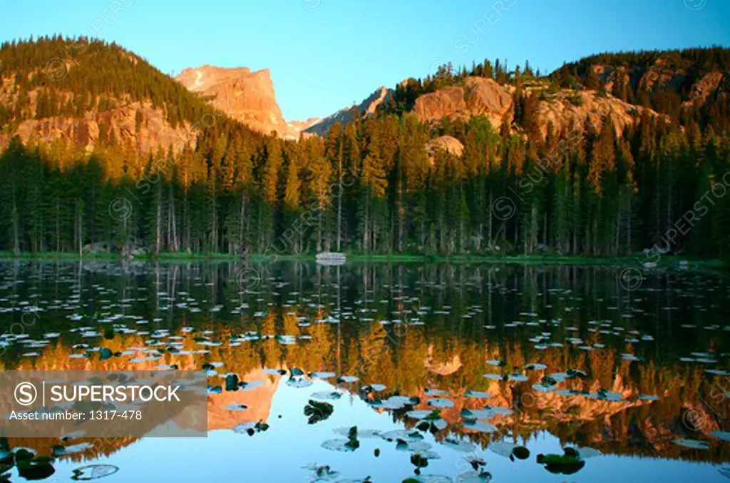 USA, Colorado, Rocky Mountain National Park, Bear Lake, Reflection of mountains and trees in lake