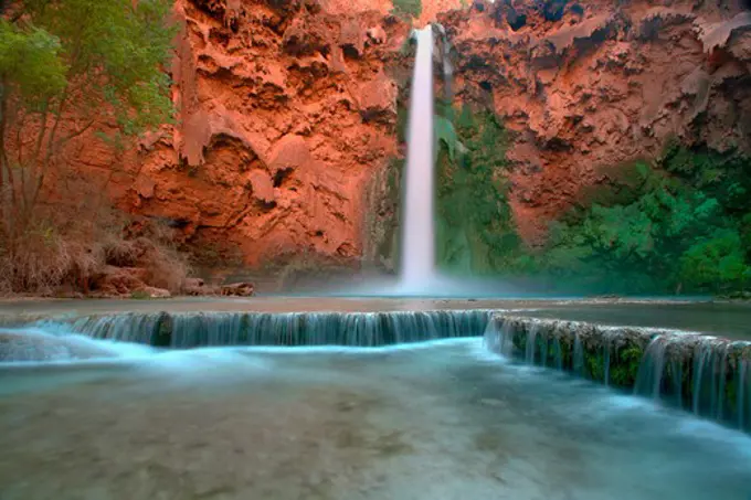 Waterfall in a forest, Mooney Falls, Havasu Canyon, Grand Canyon National Park, Arizona, USA