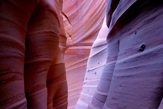 USA, Utah, Grand Staircase Escalante National Monument, Zebra Canyon