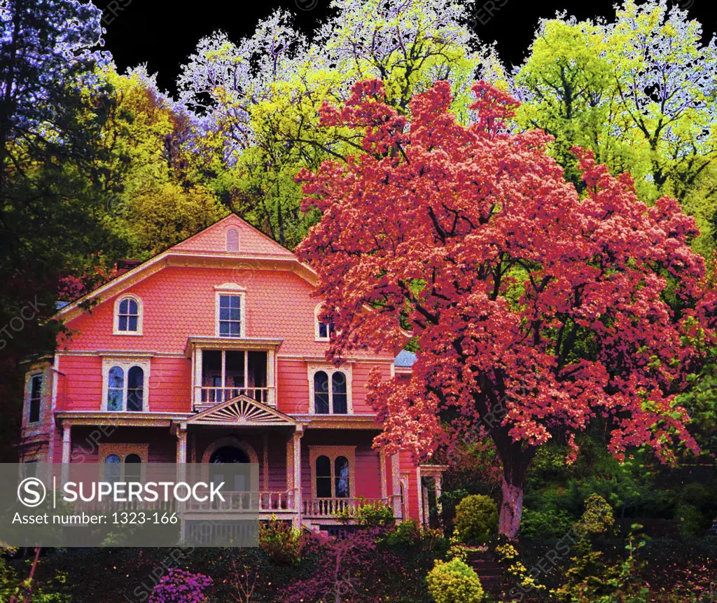 A Pink house in the wilderness