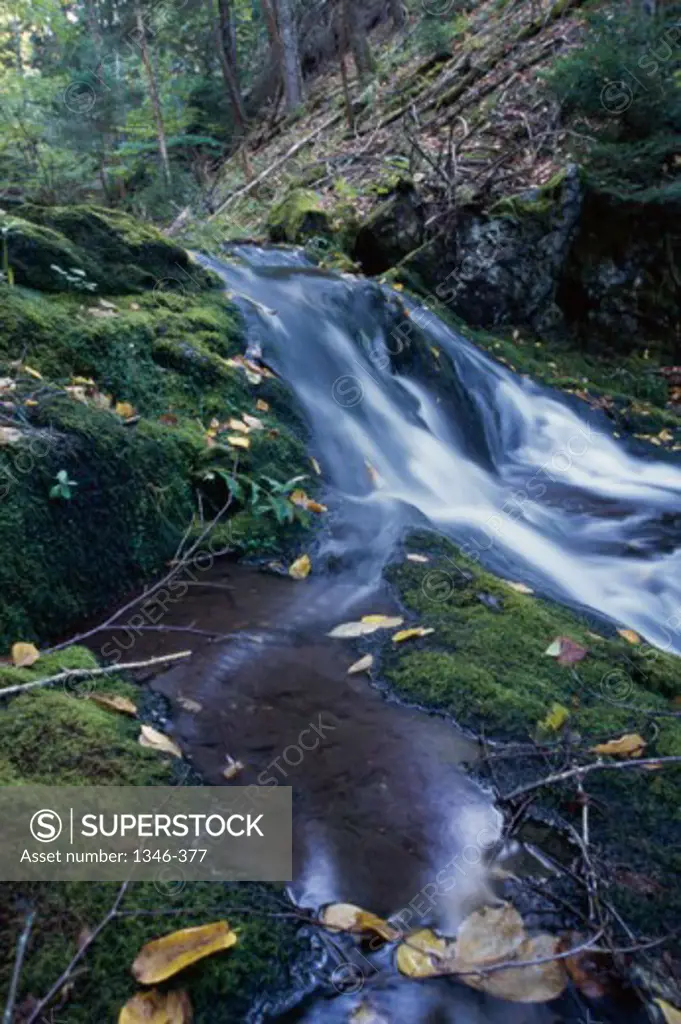 Fundy National Park New Brunswick Canada