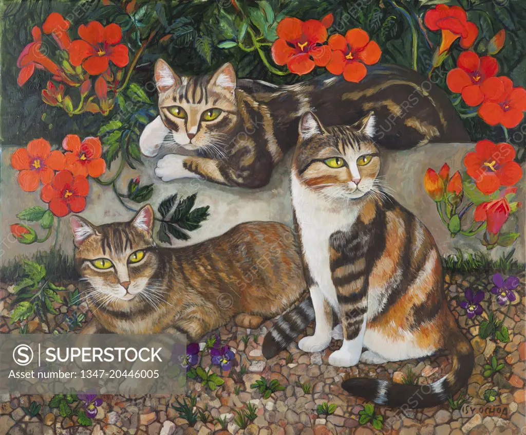 Kiwi, Radish and Salsifi: three cats in majesty, Isy Ochoa