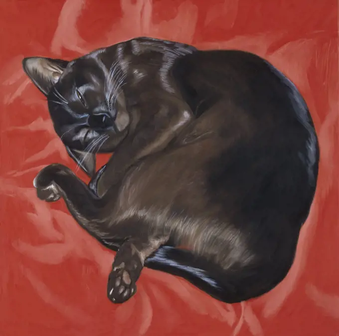 Velvet Cat I 1996 Isy Ochoa (b.1961 French) Oil on canvas