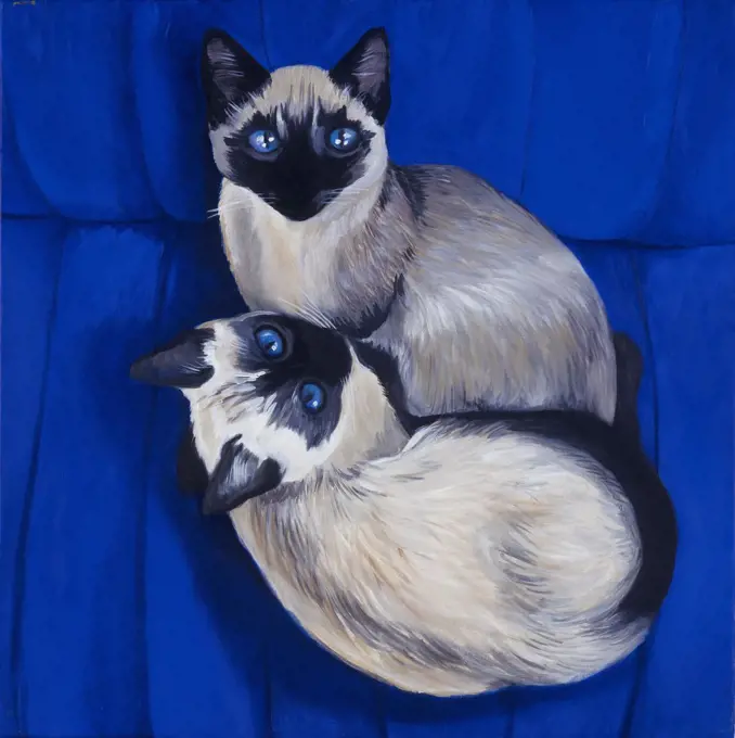 Siamese Cats on Blue Background 1996 Isy Ochoa (b.1961 French) Oil on canvas