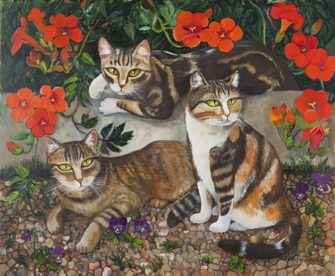 Kiwi, Radish and Salsifi: three cats in majesty, Isy Ochoa