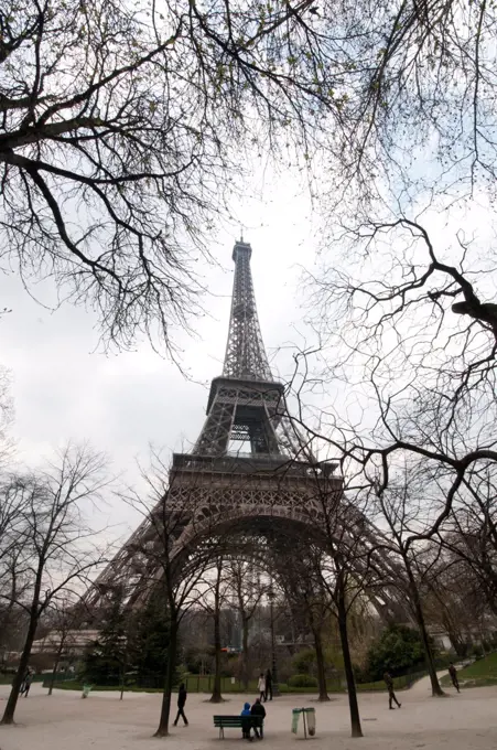 Trees in a park with a tower in the background, Eiffel Tower, Paris, Ile-de-France, France