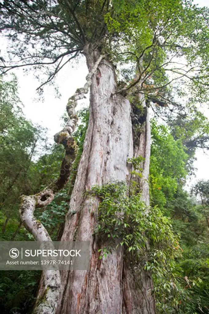 National Park, Yilan, Taiwan, Asia